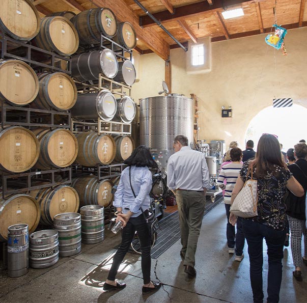 Wine Tasting Tour